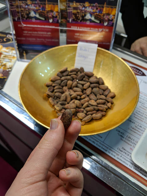 Cocoa Beans from Brazil 