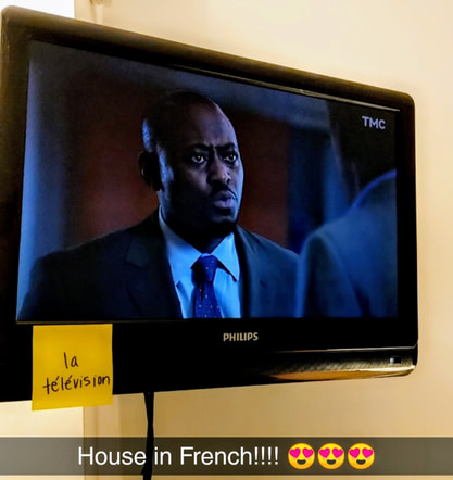 Dr. House on French TV